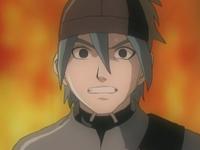 The Bewildering Forest